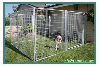 Dog Kennels